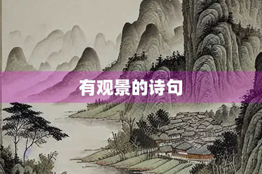 有观景的诗句