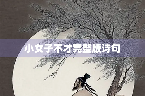 小女子不才完整版诗句