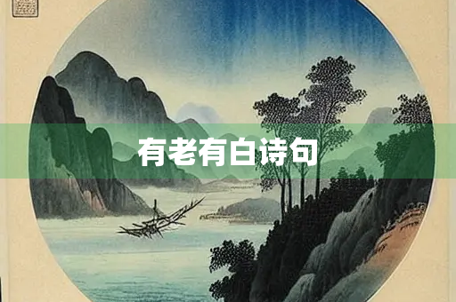 有老有白诗句