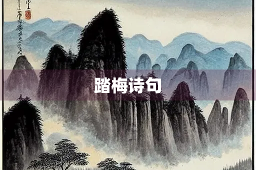 踏梅诗句