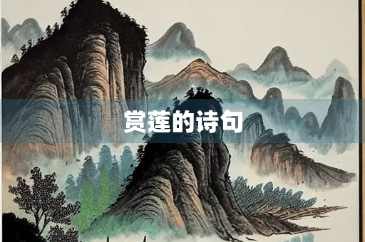 赏莲的诗句