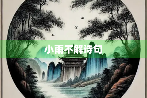 小雨不解诗句