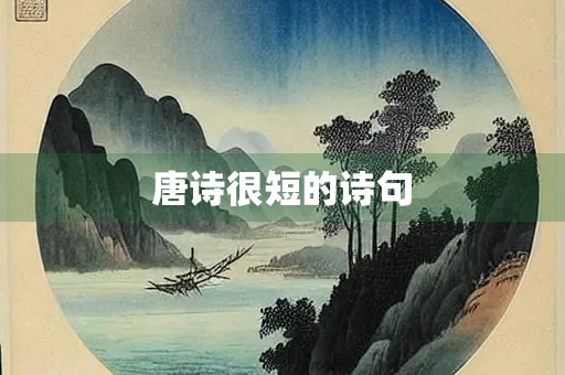 唐诗很短的诗句