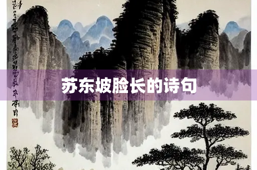 苏东坡脸长的诗句