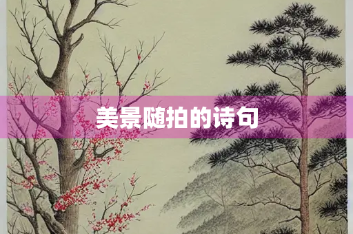 美景随拍的诗句