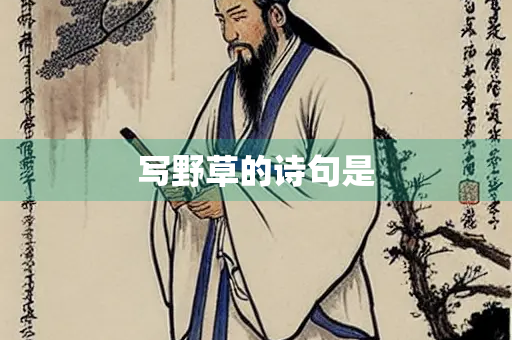 写野草的诗句是