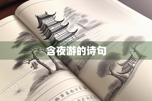 含夜游的诗句