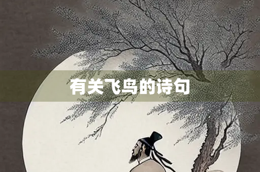 有关飞鸟的诗句