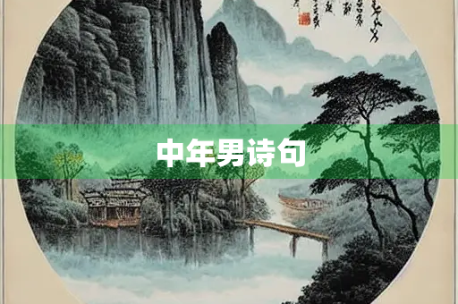 中年男诗句 中年男诗句
