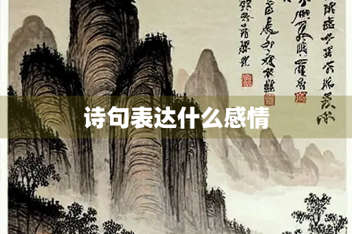 诗句表达什么感情
