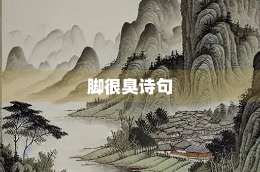 脚很臭诗句