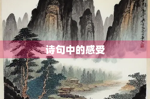 诗句中的感受