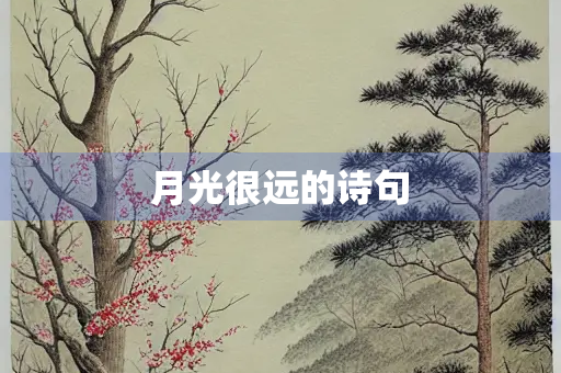 月光很远的诗句