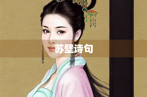 苏壁诗句