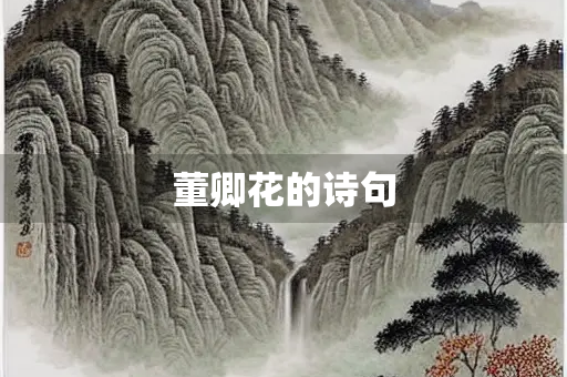 董卿花的诗句
