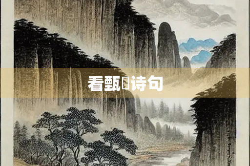 看甄嬛诗句
