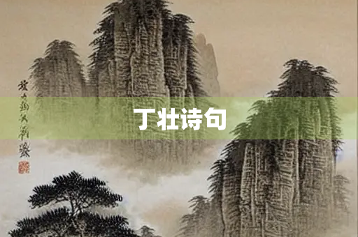 丁壮诗句