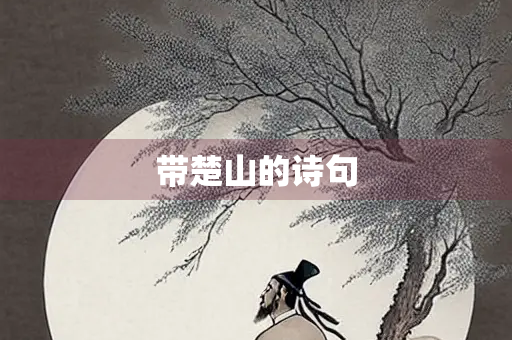带楚山的诗句