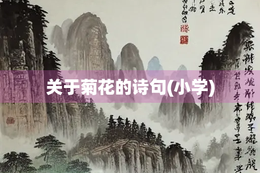关于菊花的诗句(小学)
