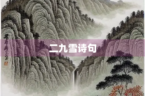 二九雪诗句