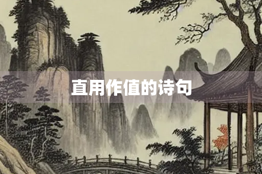 直用作值的诗句