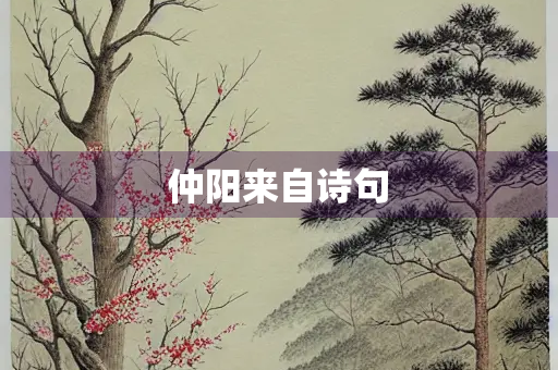 仲阳来自诗句