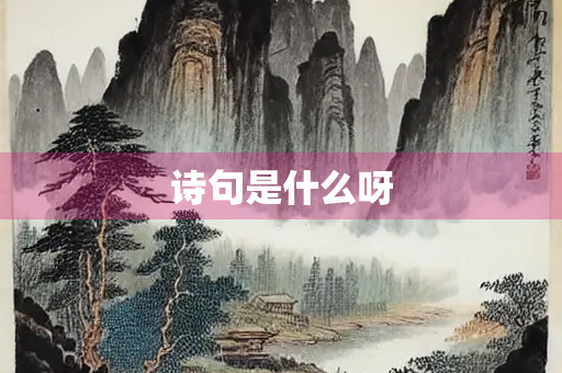 诗句是什么呀