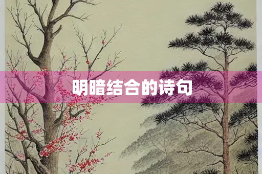 明暗结合的诗句