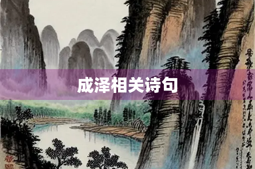 成泽相关诗句