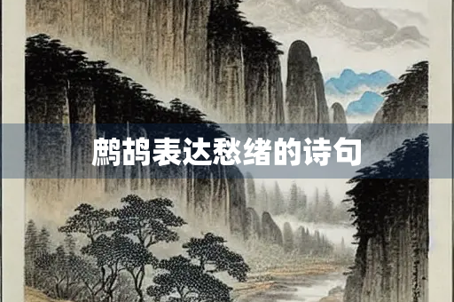 鹧鸪表达愁绪的诗句