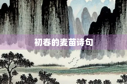 初春的麦苗诗句
