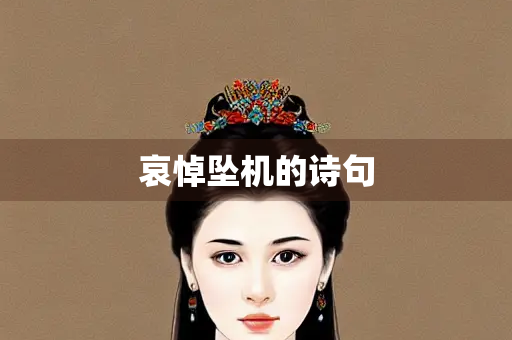 哀悼坠机的诗句