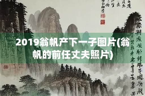 2019翁帆产下一子图片(翁帆的前任丈夫照片) 2019翁帆产下一子图片(翁帆的前任丈夫照片)