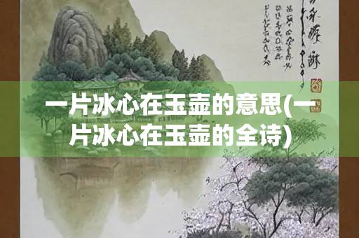 一片冰心在玉壶的意思(一片冰心在玉壶的全诗)