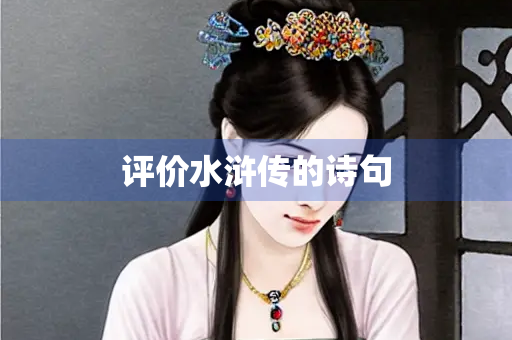 评价水浒传的诗句