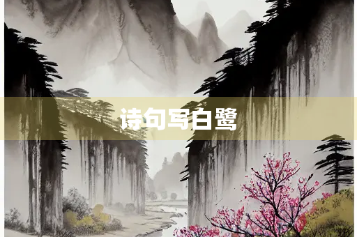 诗句写白鹭 诗句写白鹭