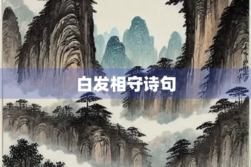 白发相守诗句 白发相守诗句