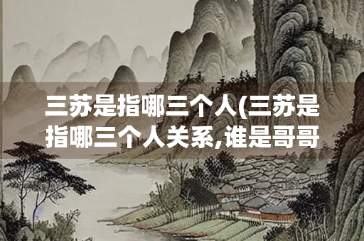 三苏是指哪三个人(三苏是指哪三个人关系,谁是哥哥)