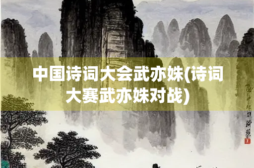 中国诗词大会武亦姝(诗词大赛武亦姝对战)