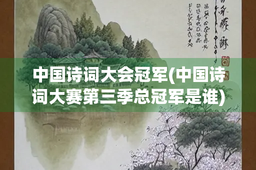 中国诗词大会冠军(中国诗词大赛第三季总冠军是谁)