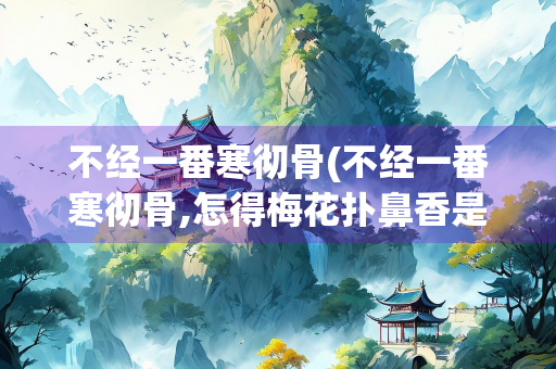 不经一番寒彻骨(不经一番寒彻骨,怎得梅花扑鼻香是几年级) 不经一番寒彻骨(不经一番寒彻骨,怎得梅花扑鼻香是几年级)