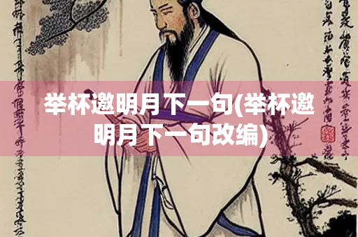 举杯邀明月下一句(举杯邀明月下一句改编)