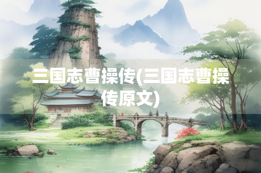 三国志曹操传(三国志曹操传原文)