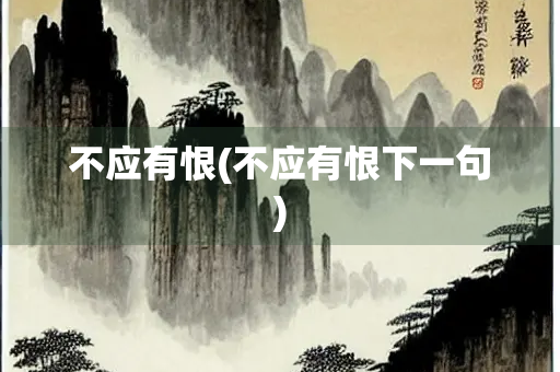 不应有恨(不应有恨下一句)