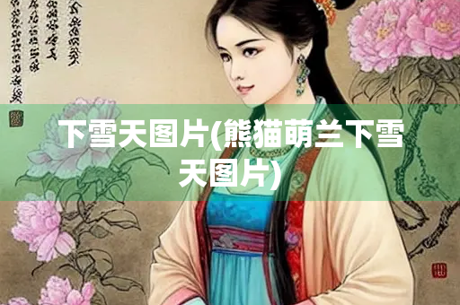 下雪天图片(熊猫萌兰下雪天图片) 下雪天图片(熊猫萌兰下雪天图片)