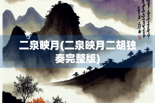 二泉映月(二泉映月二胡独奏完整版)