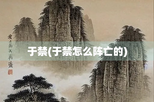 于禁(于禁怎么阵亡的) 于禁(于禁怎么阵亡的)