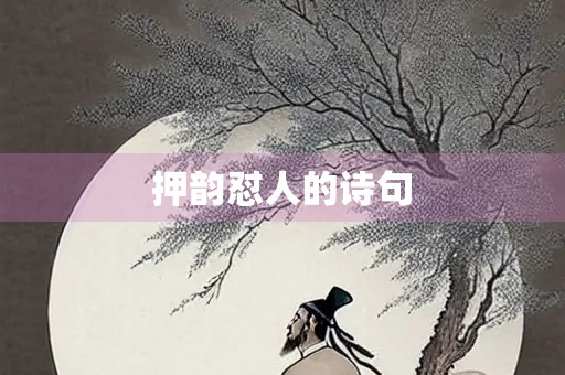押韵怼人的诗句