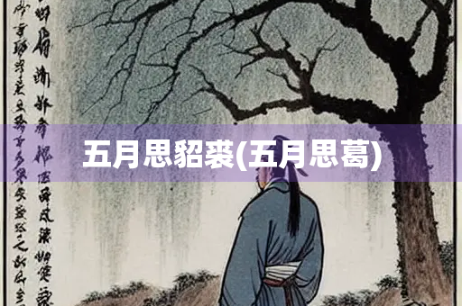 五月思貂裘(五月思葛)