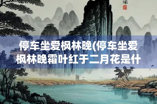 停车坐爱枫林晚(停车坐爱枫林晚霜叶红于二月花是什么花草树木) 停车坐爱枫林晚(停车坐爱枫林晚霜叶红于二月花是什么花草树木)